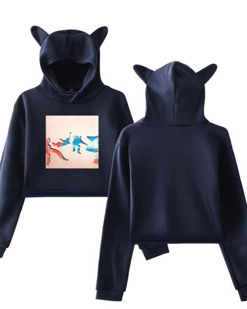 5SOS Blender Cropped Hoodie #3